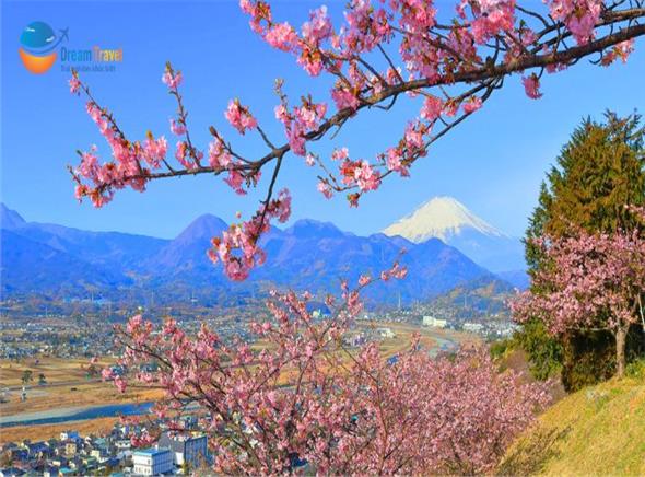 [HCM] Tour Nhật Bản Tết Nguyên Đán 2026: Hành Trình Vàng Mùa Đông